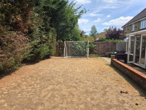 Grass burnt out from the hot weather now green all year round